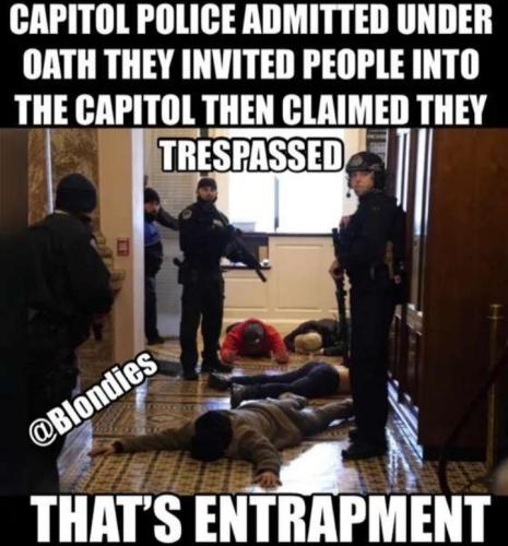 Screenshot_20220817-202912_Parler