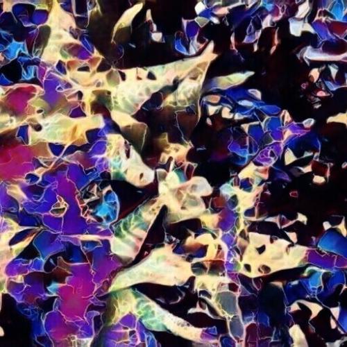 IMG_20220811_163319_027