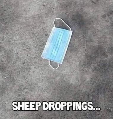 CV+Sheep+Droppings
