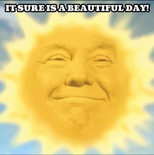 e5d20175-b227-470a-9ef1-f39544310af0