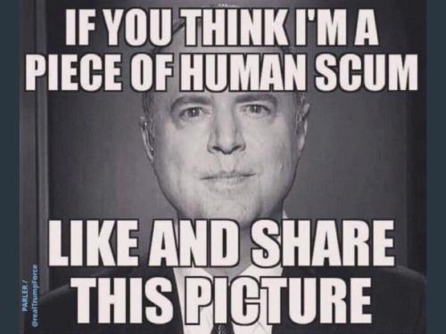 1e29c8f864b28696