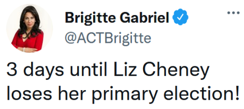 3 days for cheney