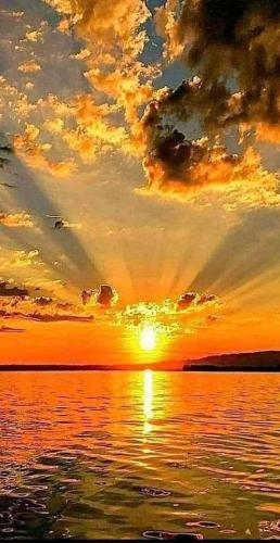 82e36125-7984-47c2-9218-660483fe4745