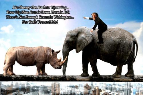 Trumpet ~Like a Bull Elephant~