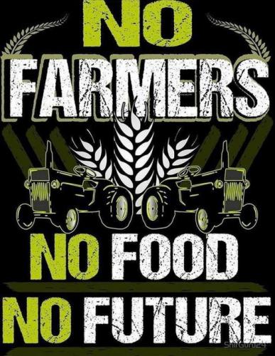 301507399_565927625287162_9073740968289864010_n