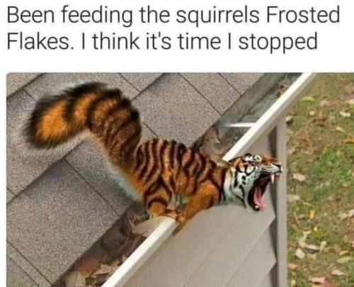FB_IMG_1660269939178