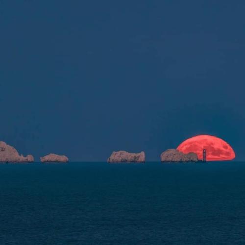 FB_IMG_1658373966302