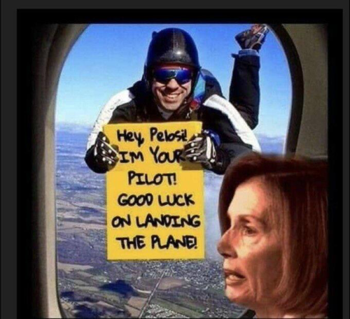 The pilot