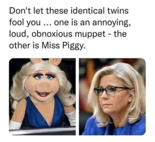 423e672f-a2c9-4808-9478-f82be9580fea