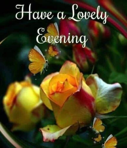 Have A lovely evening Yall