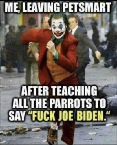 IMG_20220813_230857_682