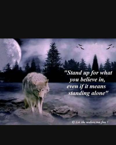 stand up for what you believe in