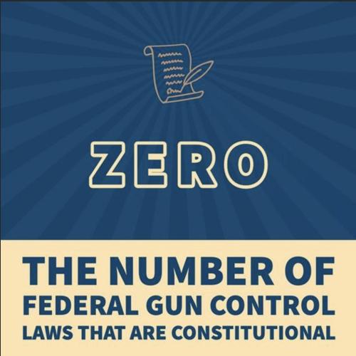 zero gun laws
