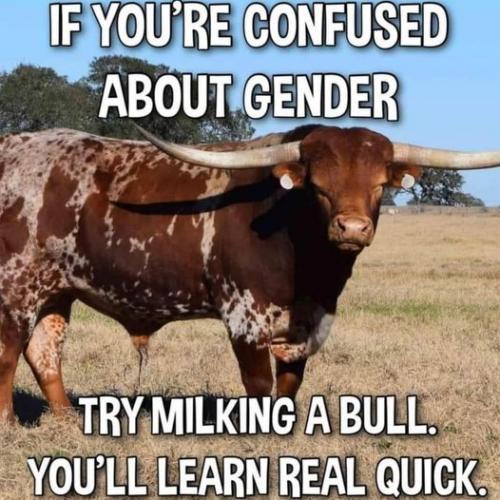 302237727_8057488677625505_3845842552466687422_n