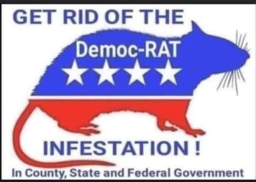 a-1 the big rat