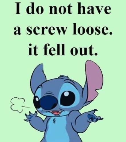 i dont have a screw loose
