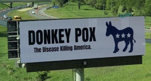 Donkey Pox