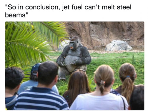 gorilla