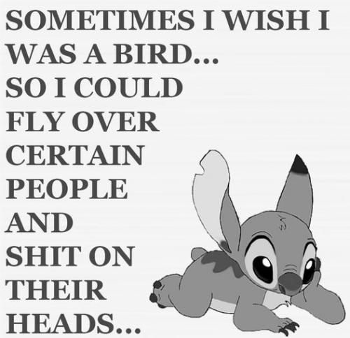 301874926_185313570579138_6728993134586906763_n