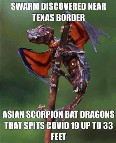 ASIAN SCORPIAN BAT DRAGONS