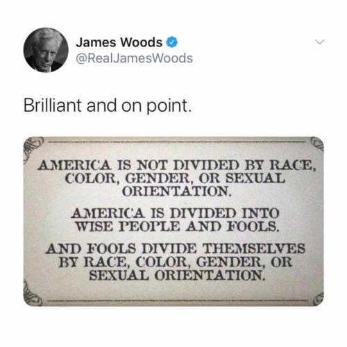james woods on america divided