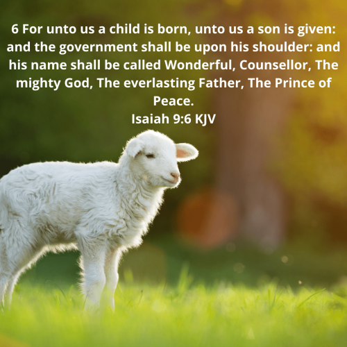2D8992112279D47B75097E13F17F665A.bible114-min