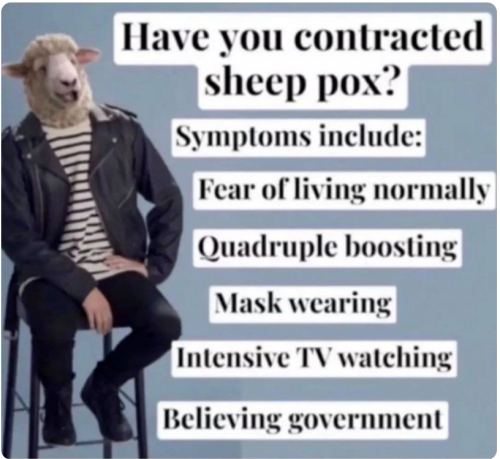 Sheep pox