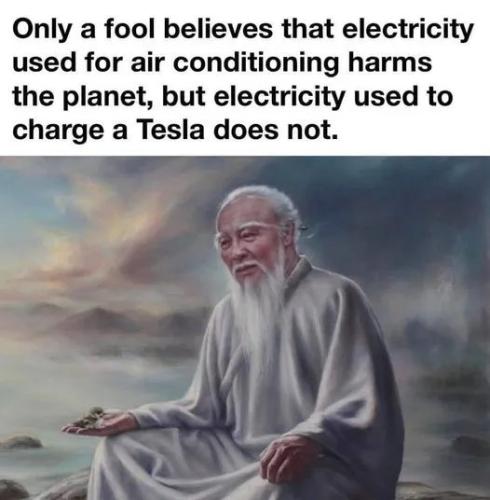 fool