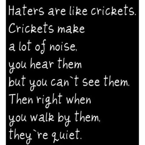haters are like crickets