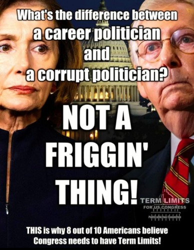 Politician