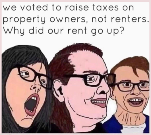 M renters