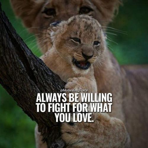 Always be willing to fight for what you love