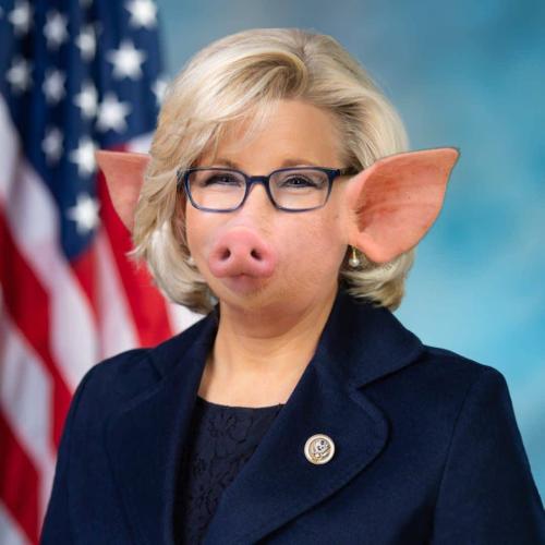 403bbc04-18eb-43fc-8c9a-2dc12ee0d459