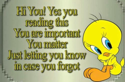 hi you reading this