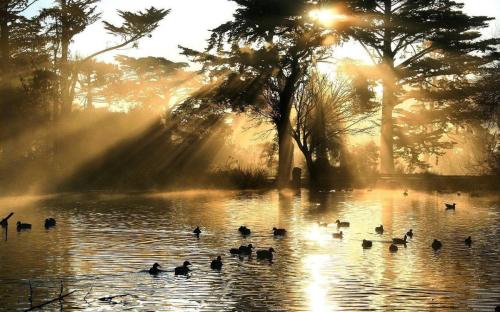 IMG_20220802_093107_286