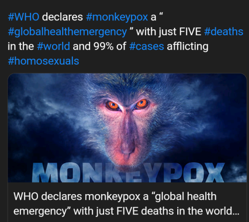 Capture+_2022-08-07-19-39-05(1)