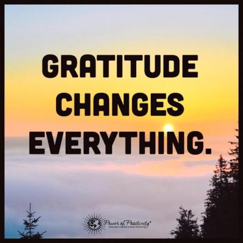 B4BC35D0-CA3E-4746-B797-FCE86AE82D80