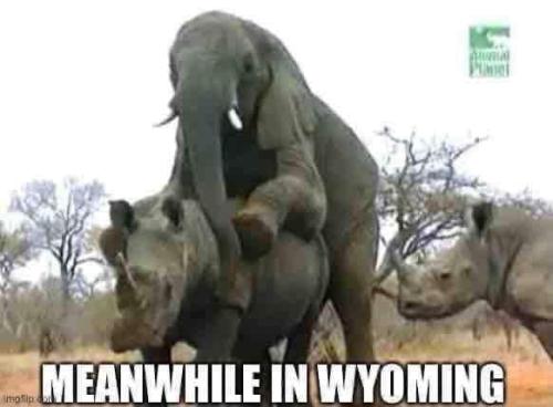 300344209_5770750736282482_5079783721193701018_n