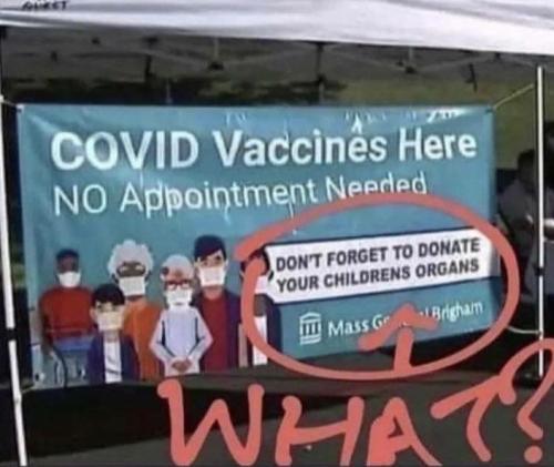 c7b85567ad496588