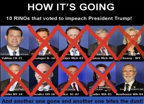10 rinos