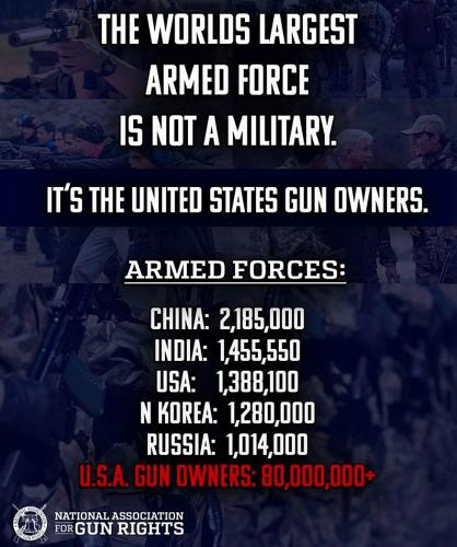 USA gun owners