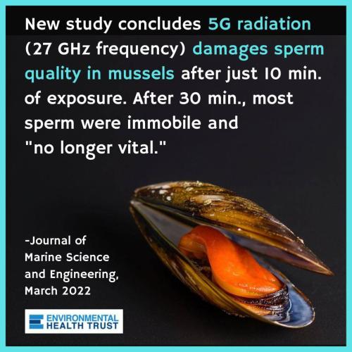 IMG_20220814_064209_878