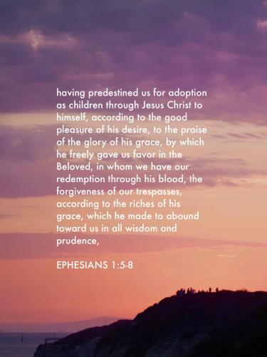 9A0855CA-E3E4-441A-8C53-E6ECE6AB6524