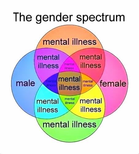 Gender spectrum