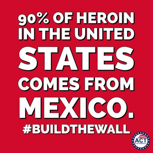 IllegalsDrugs