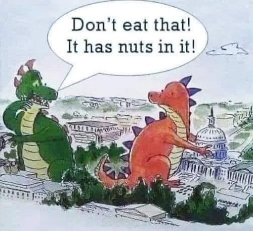 nuts