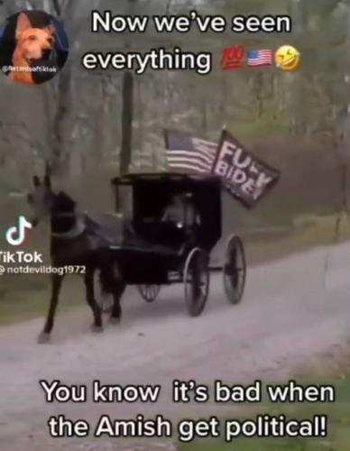 now weve seen everything