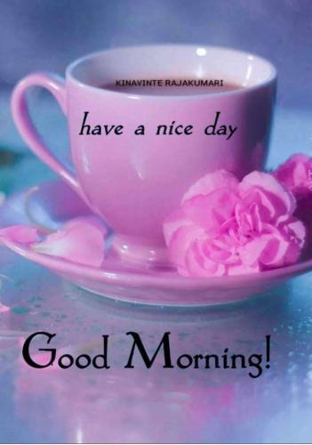 3ec98f99-75f2-4162-966d-f3f25805bade