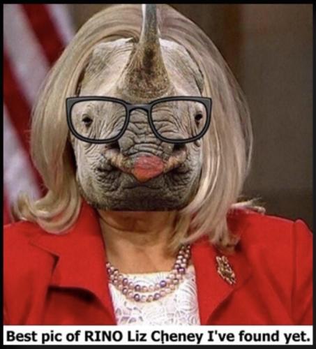 RINO
