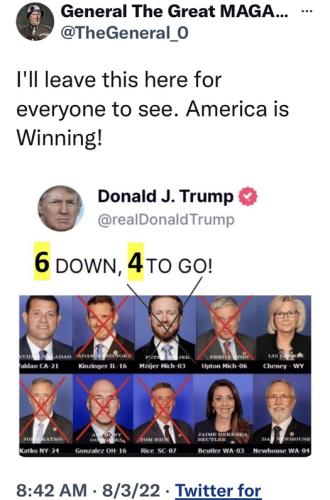 VoteAntiTrumpers